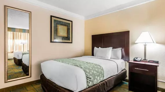 Quality Inn At International Drive | Florida - Orlando (ve civarı) - Orlando