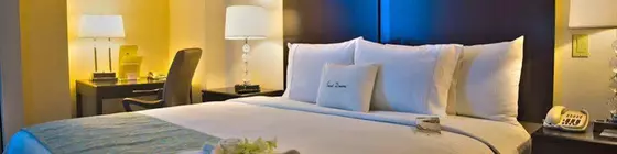 DoubleTree by Hilton Panama City El Carmen | Panama (ili) - Panama