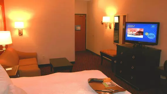 Hampton Inn Mt. Pleasant | Michigan - Mount Pleasant (ve civarı) - Mount Pleasant