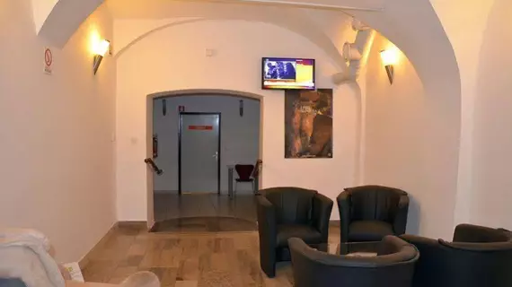 Hotel Emonec | Ljubljana (ve civarı) - Ljubljana Kent Merkezi