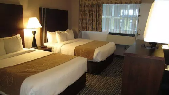 Comfort Suites Downtown | Quebec - Montreal (ve civarı) - Montreal - Golden Square Mile