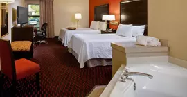 Hampton Inn Mt. Pleasant | Michigan - Mount Pleasant (ve civarı) - Mount Pleasant