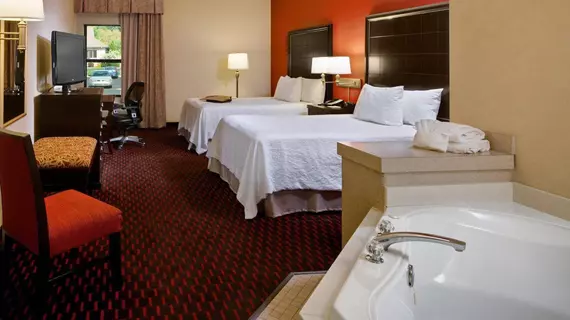 Hampton Inn Mt. Pleasant | Michigan - Mount Pleasant (ve civarı) - Mount Pleasant