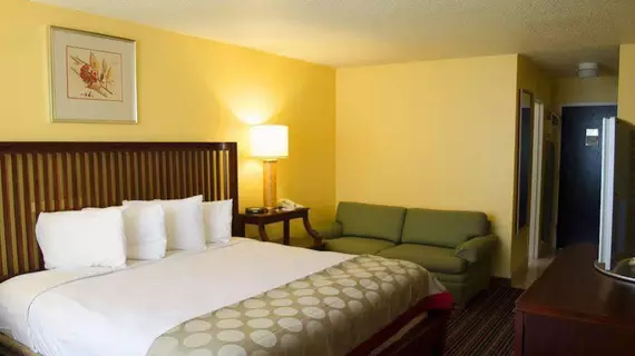 Floridian Express International Drive Hotel | Florida - Orlando (ve civarı) - Orlando - Universal Orlando® Tatil ve Eğlence Merkezi