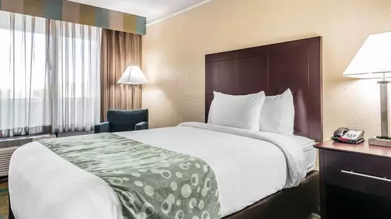 Quality Inn At International Drive | Florida - Orlando (ve civarı) - Orlando