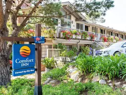 Comfort Inn Carmel By the Sea | Kaliforniya - Monterey (ve civarı) - Carmel