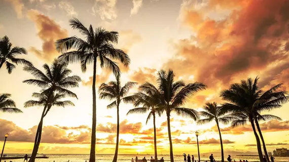 White Sands Hotel | Hawaii - Honolulu - Waikiki