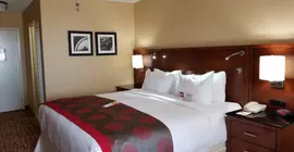 Ramada Plaza by Wyndham Fort Wayne Hotel & Conference Center | Indiana - Fort Wayne (ve civarı) - Fort Wayne