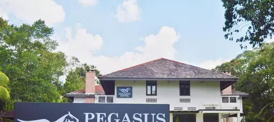 Pegasus Hotel | Singapur - Bukit Timah