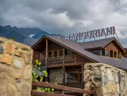 Hotel Banguriani | Samegrelo-Zemo Svaneti - Mestia