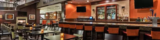 Crowne Plaza Dallas Near Galleria-Addison | Teksas - Dallas (ve civarı) - Addison