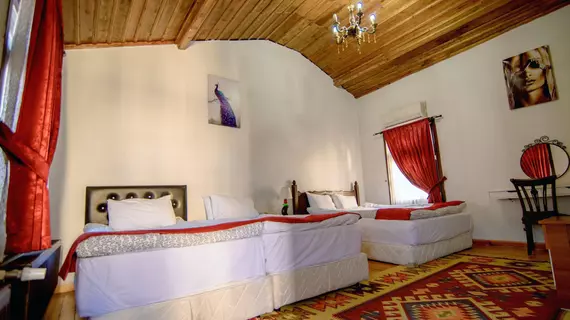 Arif Bey Konağı Butik Otel | Gaziantep - Gaziantep