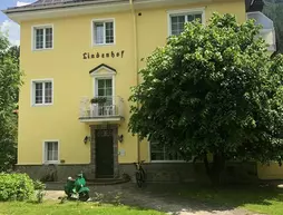 Boutiquehotel Lindenhof | Salzburg (eyalet) - Sankt Johann im Pongau - Bad Gastein