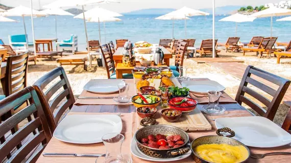 Blue Bay Beach Otel | Muğla - Bodrum