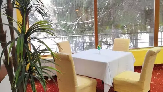 Hotel Borovets Edelweiss | Samokov - Borovets