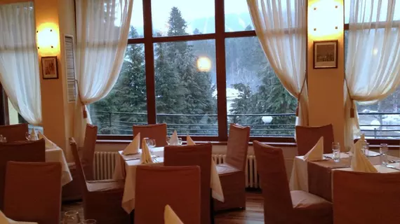 Hotel Bor | Samokov - Borovets