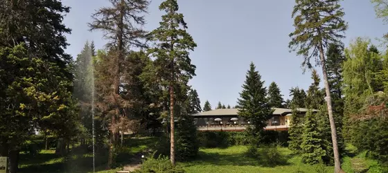 Hotel Bor | Samokov - Borovets