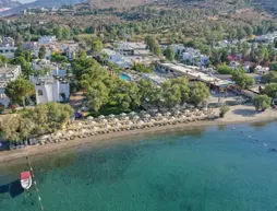 Regia Mare Beach Hotel | Muğla - Bodrum - Ortakent