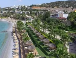 TUI MAGIC LIFE Bodrum +16 Adult Only