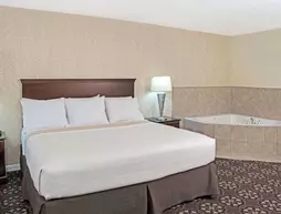 Days Inn by Wyndham Shenandoah | Teksas - Conroe (ve civarı) - Shenandoah