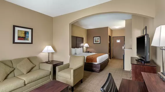 Comfort Suites The Colony - Plano West | Teksas - Dallas (ve civarı) - The Colony