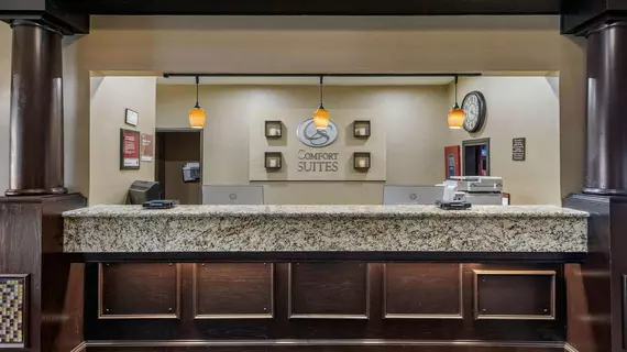 Comfort Suites The Colony - Plano West | Teksas - Dallas (ve civarı) - The Colony