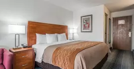 Quality Inn Denver Westminster | Kolorado - Denver (ve civarı) - Westminster