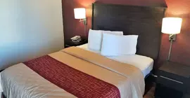 Red Roof Inn San Antonio Northeast - Rittiman Rd | Teksas - San Antonio (ve civarı) - San Antonio - Kuzey San Antonio - SAT Havalimanı