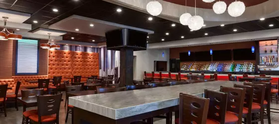 Ramada Plaza by Wyndham Newark International Airport | New Jersey - Newark (ve civarı) - Newark