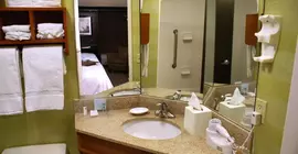 Brandon Center Hotel, An IHG Property | Florida - Tampa (ve civarı) - Tampa