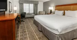 Richmond Inn & Suites Trademark Collection by Wyndham | Louisiana - Baton Rouge (ve civarı) - Baton Rouge