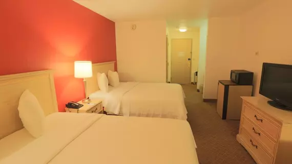 Days Inn by Wyndham Calumet Park | İllinois - Calumet Park - Calumet Park