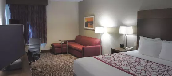 La Quinta Inn & Suites by Wyndham Tuscaloosa University | Alabama - Tuscaloosa (ve civarı) - Tuscaloosa