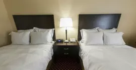 Radisson Hotel Lansing at the Capitol | Michigan - Lansing (ve civarı) - Lansing