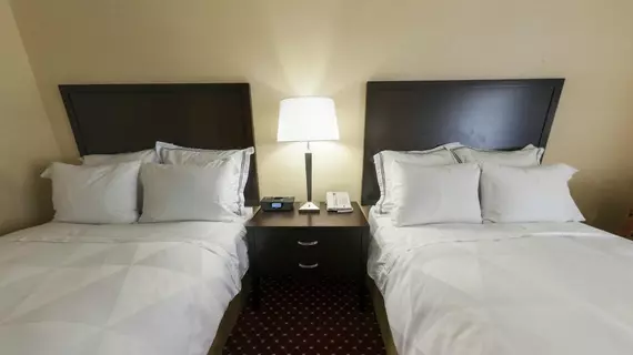 Radisson Hotel Lansing at the Capitol | Michigan - Lansing (ve civarı) - Lansing