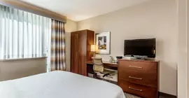 Hampton Inn Manhattan Grand Central | New York - New York (ve civarı) - Midtown East