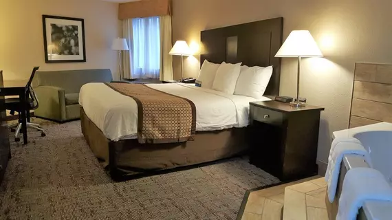 Baymont by Wyndham Belleville Airport Area | Michigan - Detroit (ve civarı) - Belleville