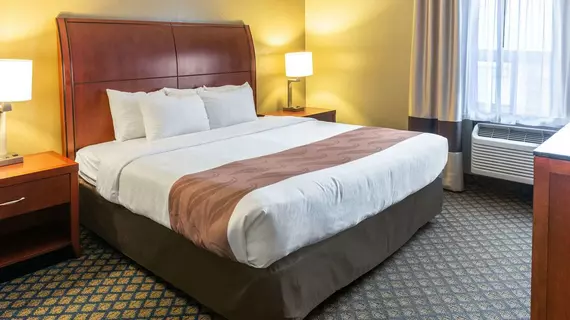 Quality Inn & Suites | Ohio - Summit İlçesi - Akron (ve civarı) - Seville