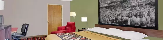 Super 8 by Wyndham Denver Central | Kolorado - Denver (ve civarı) - Denver