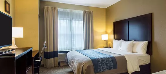 Comfort Inn and Suites - Grafton | Wisconsin - Milwaukee (ve civarı) - Grafton