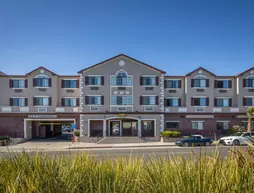 Super 8 by Wyndham San Bruno /SF Intl Arpt West | Kaliforniya - San Fransisko (ve civarı) - San Bruno