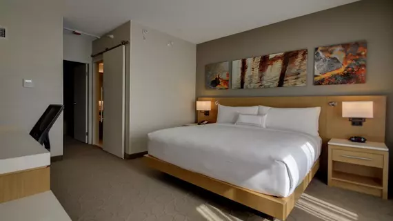 Delta Hotels by Marriott Chicago North Shore Suites | İllinois - Glenview