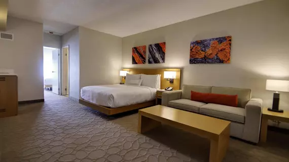 Delta Hotels by Marriott Chicago North Shore Suites | İllinois - Glenview