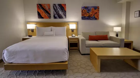 Delta Hotels by Marriott Chicago North Shore Suites | İllinois - Glenview