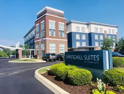 SpringHill Suites Indianapolis Airport/Plainfield | Indiana - Indianapolis (ve civarı) - Plainfield