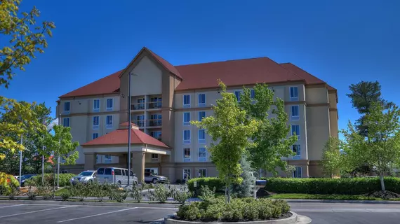 La Quinta by Wyndham Pigeon Forge | Tennessee - Gatlinburg - Pigeon Forge (ve civarı) - Pigeon Forge