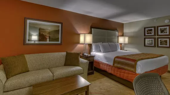 La Quinta by Wyndham Pigeon Forge | Tennessee - Gatlinburg - Pigeon Forge (ve civarı) - Pigeon Forge