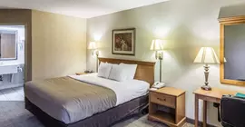 Quality Inn San Antonio Fiesta at Six Flags | Teksas - San Antonio (ve civarı) - San Antonio