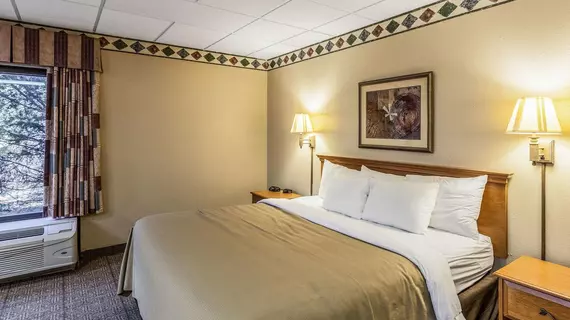 Quality Inn San Antonio Fiesta at Six Flags | Teksas - San Antonio (ve civarı) - San Antonio