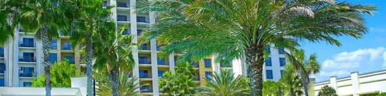 Las Palmeras by Hilton Grand Vacations | Florida - Orlando (ve civarı) - International Drive